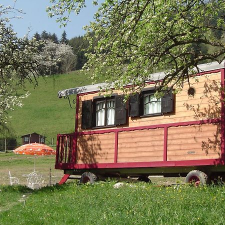 Le Repaire De Mitzerle Villa Mitzach Eksteriør billede