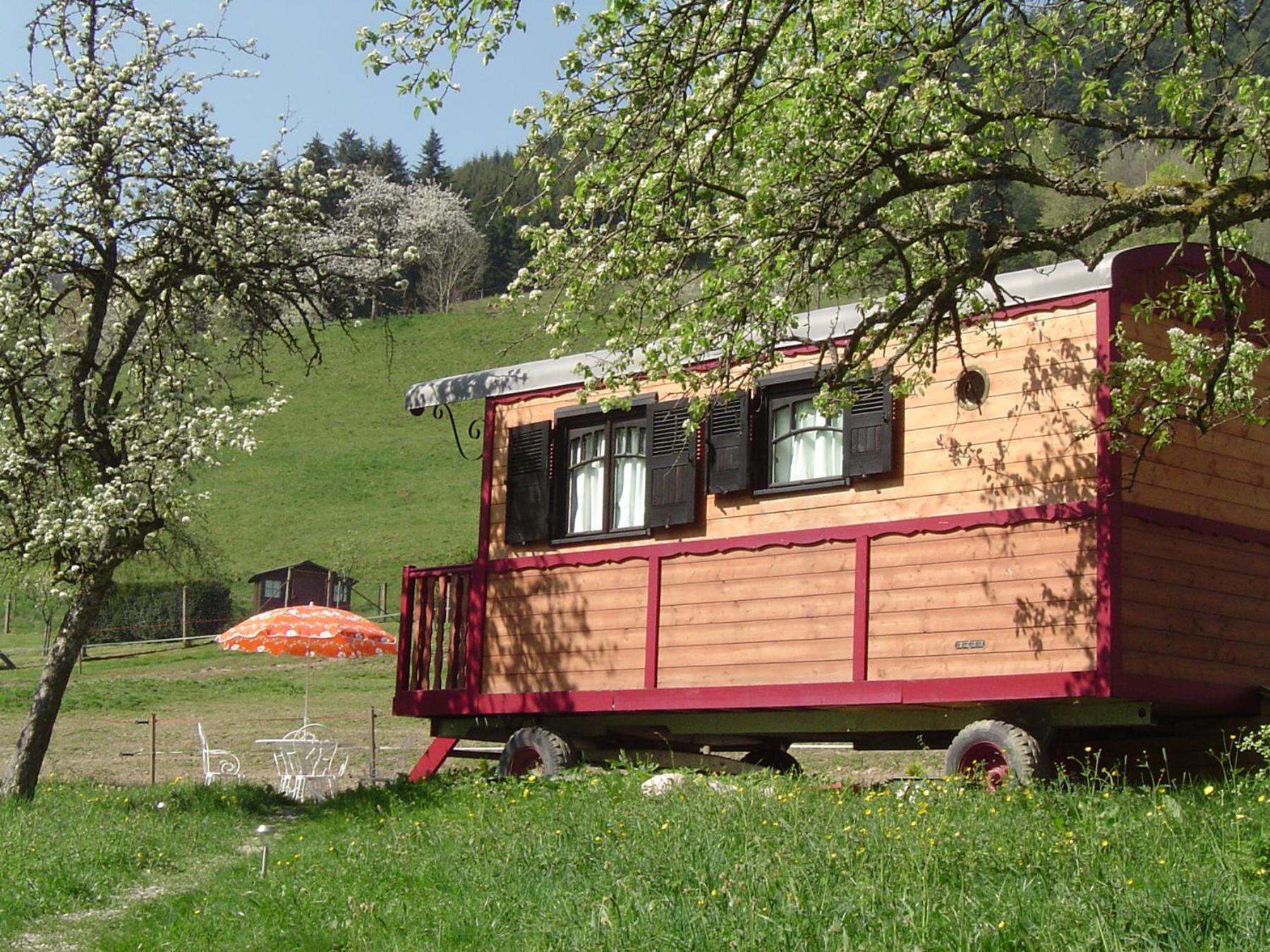 Le Repaire De Mitzerle Villa Mitzach Eksteriør billede